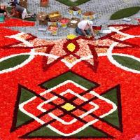 Цветочная феерия в Брюсселе