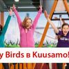 HOLIDAY CLUB KUUSAMON TROPIIKKI, Angry birds