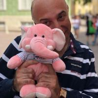 Выездной круизный конгресс «Балтийский вояж» для сети турагентств «Розовый слон»
