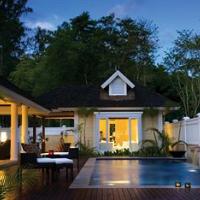 Banyan Tree