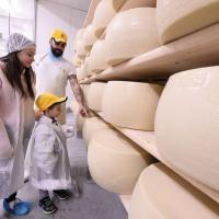FICO EATALY WORLD – тем, кто хочет распробовать Италию