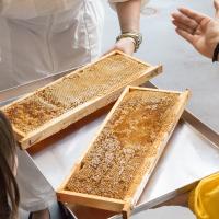 FICO EATALY WORLD – тем, кто хочет распробовать Италию